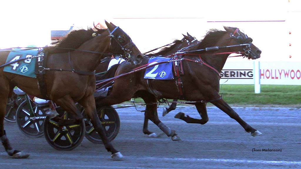 Pepper Wow winning at Plainridge Park