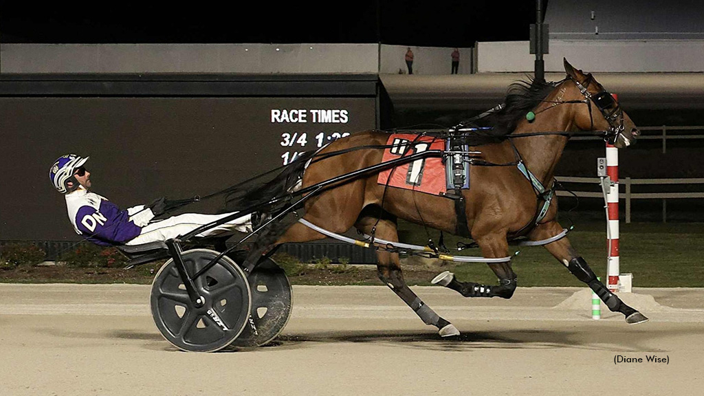Sammy Jo Hanover