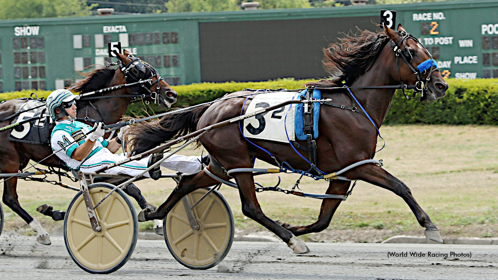 True Blue Hanover