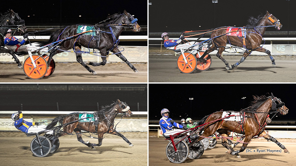 A collage of the winners of the Alberta Sires Stakes Super Finals
