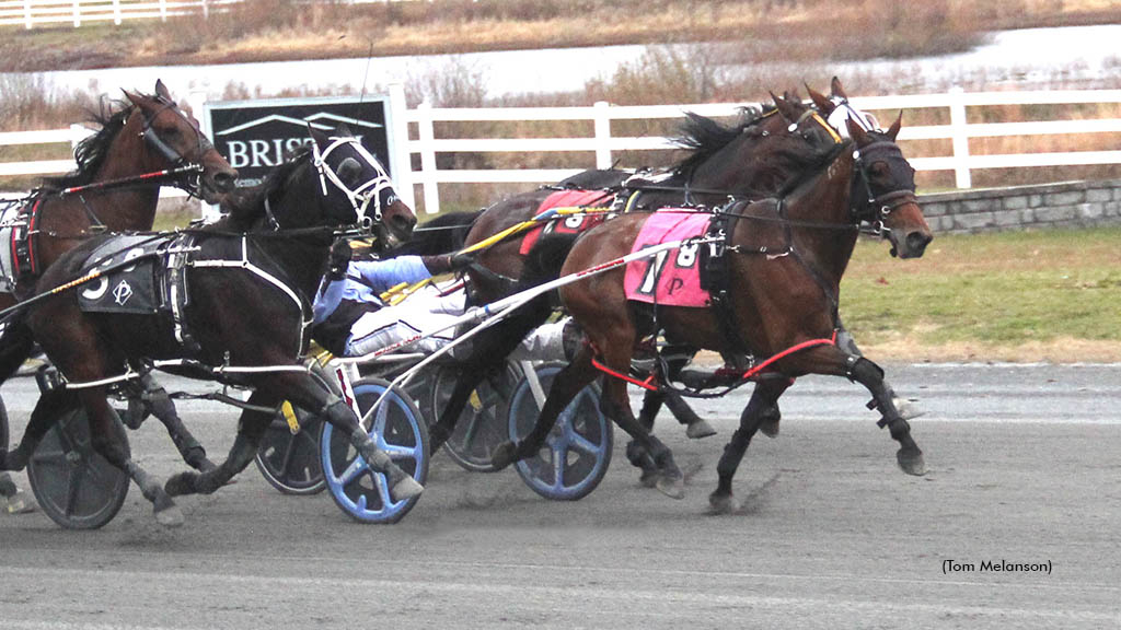 Always Bstunning N winning at Plainridge Park