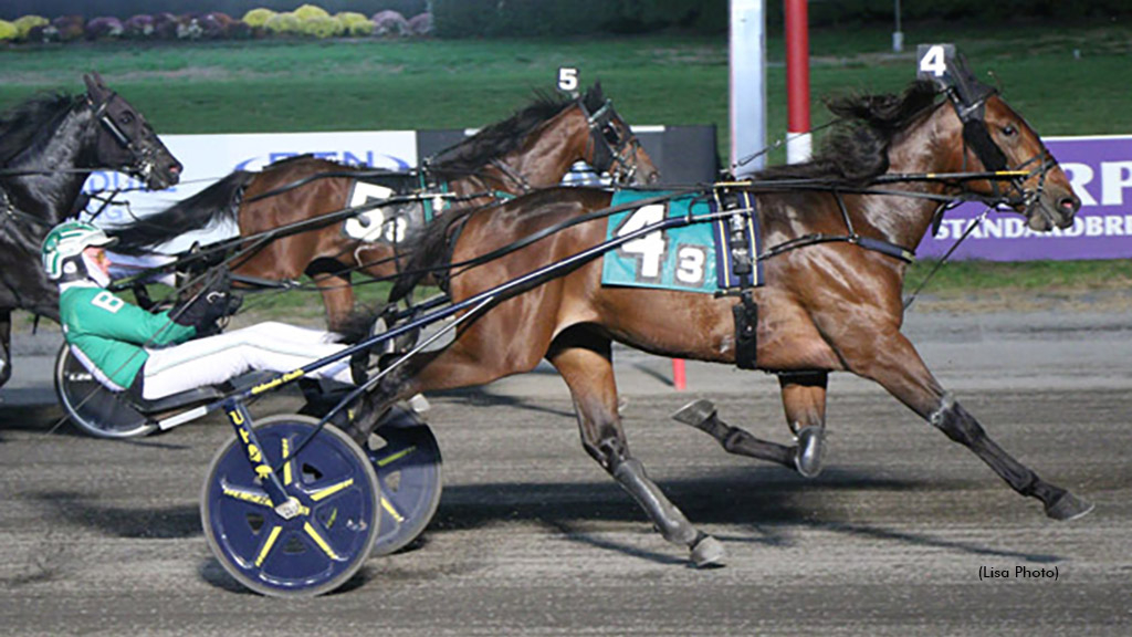 American Power winning at The Meadowlands