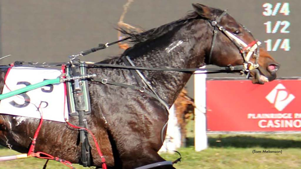 Checkpoint Chatter winning at Plainridge Park