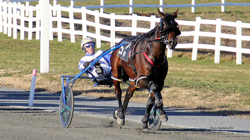 HuntingZone-111725-TomMelanson-1024px