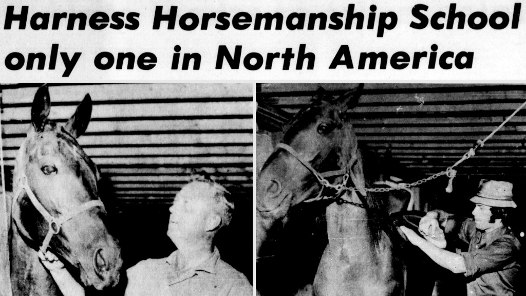 SC Rewind: Glen Anderson's School of Harness Horsemanship