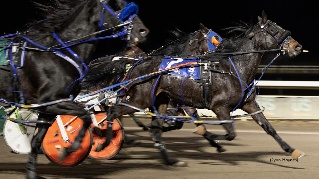 Sandras Mystery winning at Century Mile