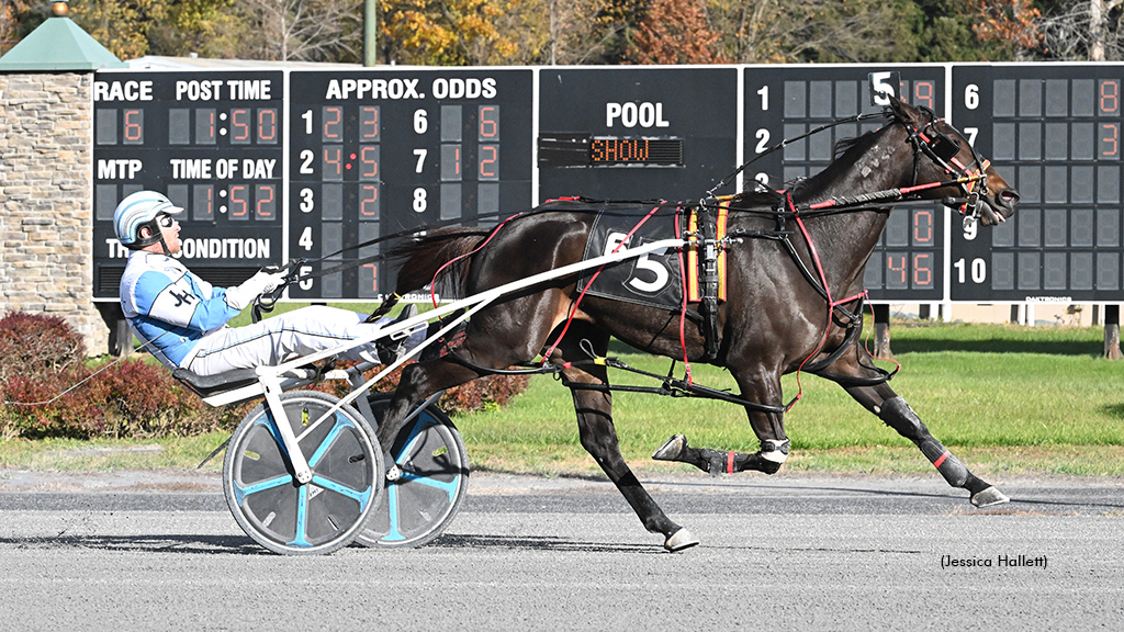 Twist Little Girl N winning at Saratoga Raceway