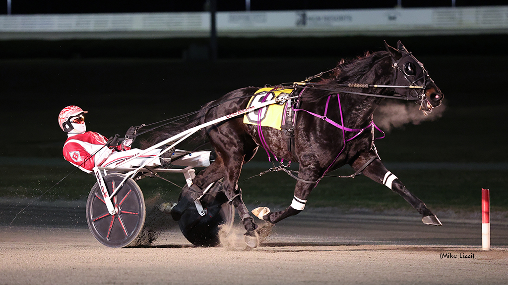 Sir Pinocchio winning at Yonkers Raceway