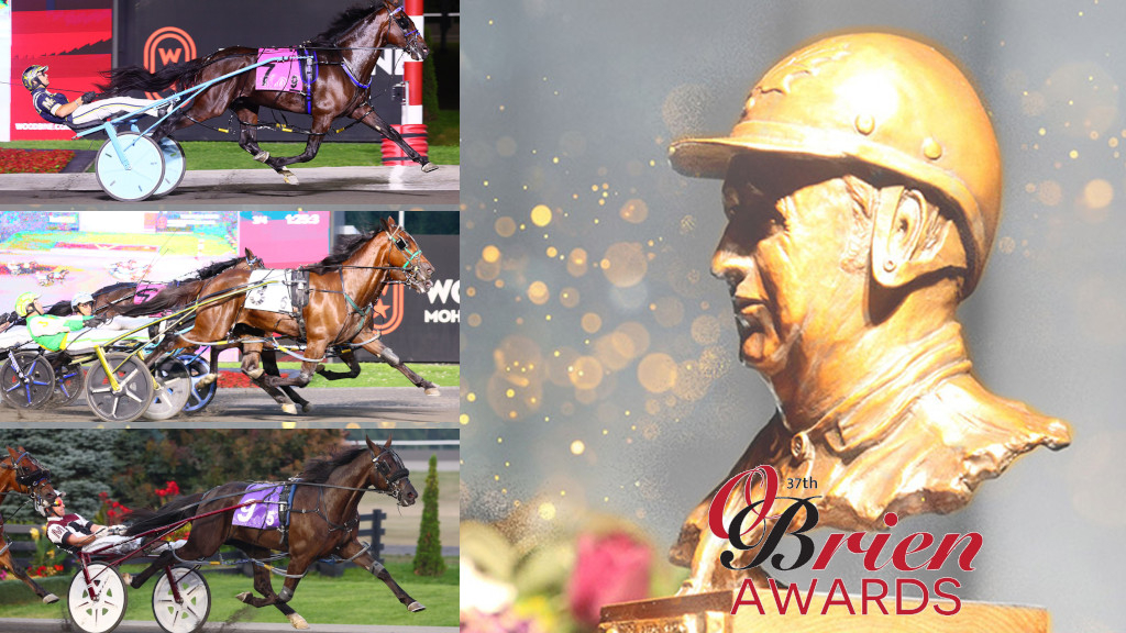 2025 O'Brien Award finalists: Two-Year-Old Pacing Colt