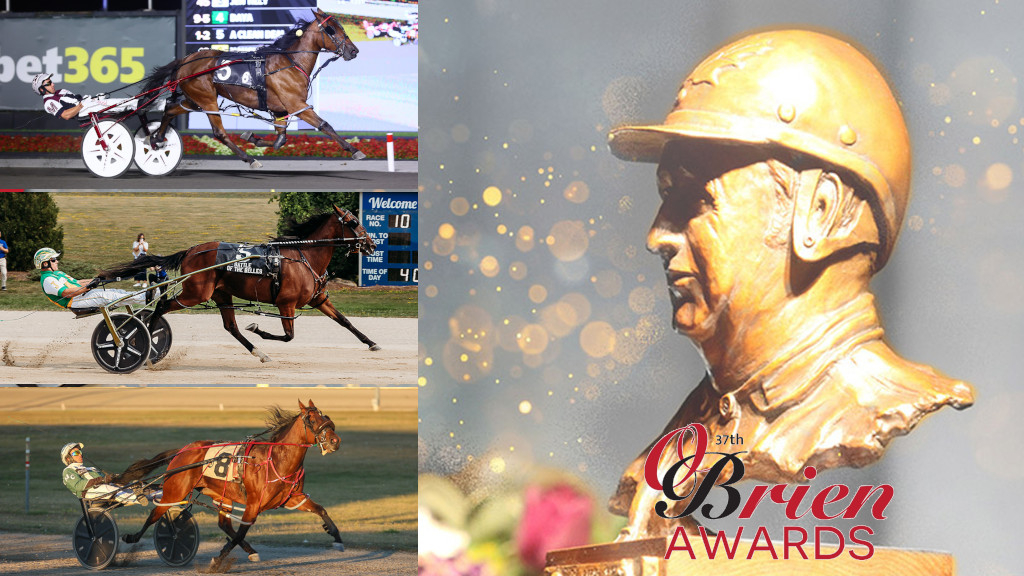 2025 O'Brien Award finalists: Two-Year-Old Pacing Filly