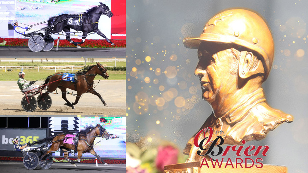 2025 O'Brien Award finalists: Three-Year-Old Pacing Filly