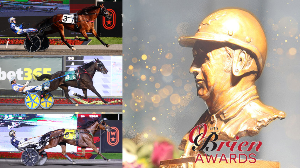 2025 O'Brien Award finalists: Three-Year-Old Trotting Filly
