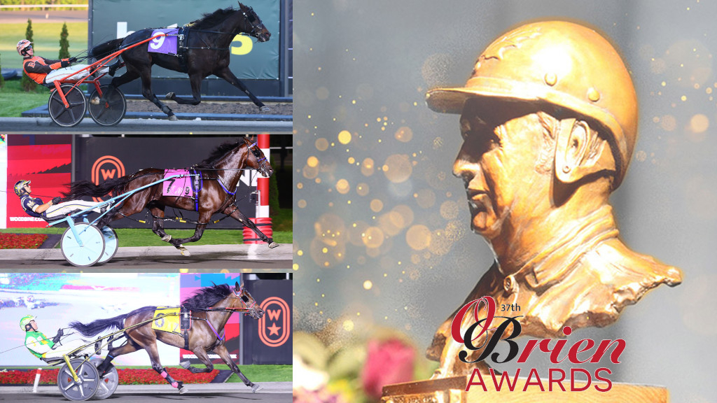 RACING the MOON TOUR ’95-’96 BORN IN 66 O'Briens Profiles: Armstrong Breeder Of The Year | Standardbred Canada