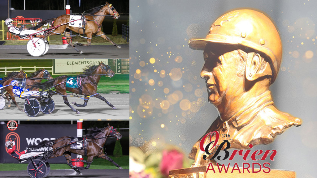 2025 O'Brien Award finalists: Older Pacing Horse