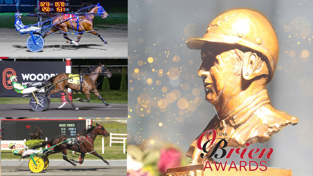 2025 O'Brien Award finalists: Older Pacing Mare