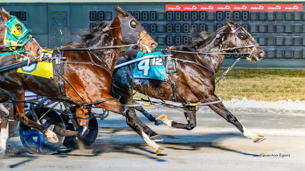 Muskateer Hanover