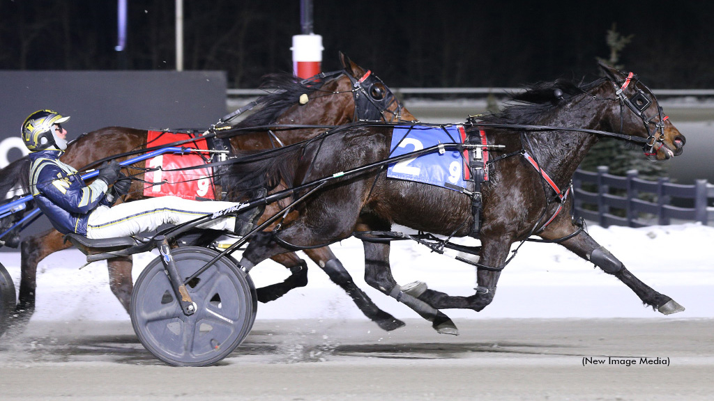 Angostura Hanover winning at Woodbine Mohawk Park