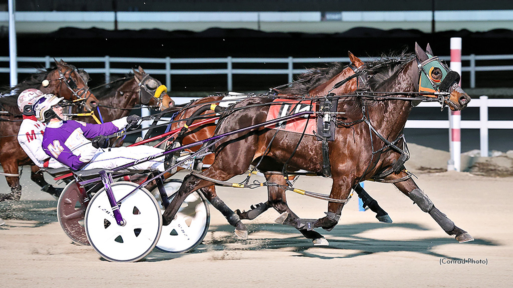David Miller driving Perfect Paradise