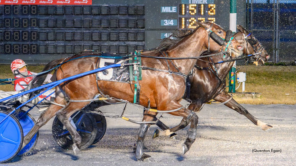 Muskateer Hanover