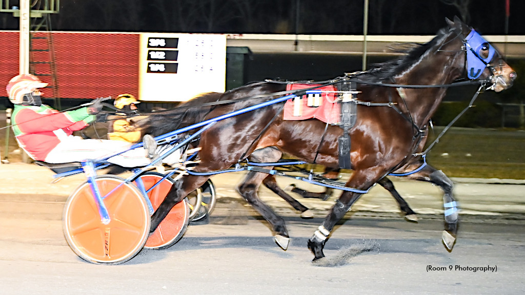 Peace Talks and Phoenix Rising dead heat at Rosecroft
