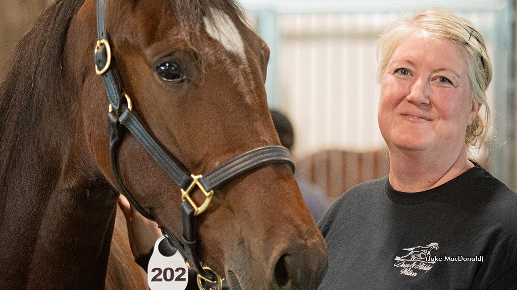 2025 London Classic Yearling Sale topper Roca