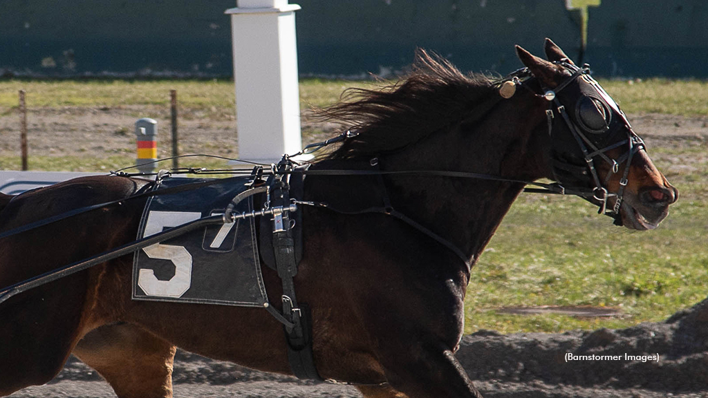 Brookview Darius winning at Buffalo Raceway