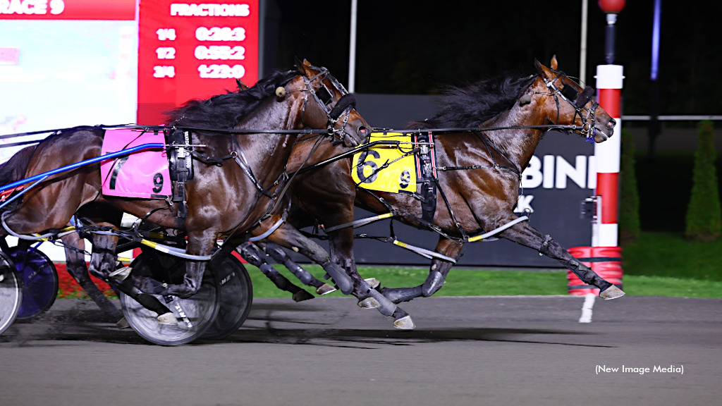 Calicojack Hanover