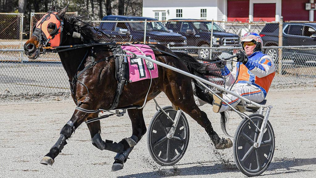 Little Macabee winning at First Tracks Cumberland