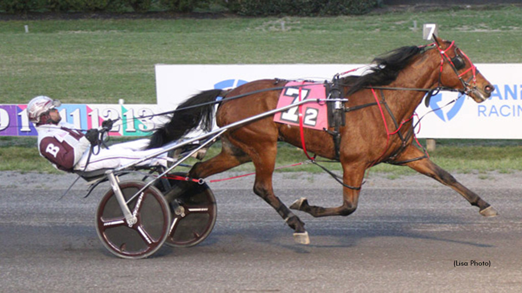 Maximum Exposure winning at The Meadowlands