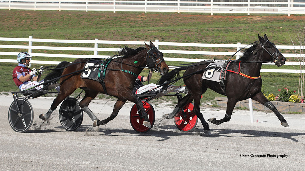 PondaJet-033126-TonyCantonzePhotography-1024px