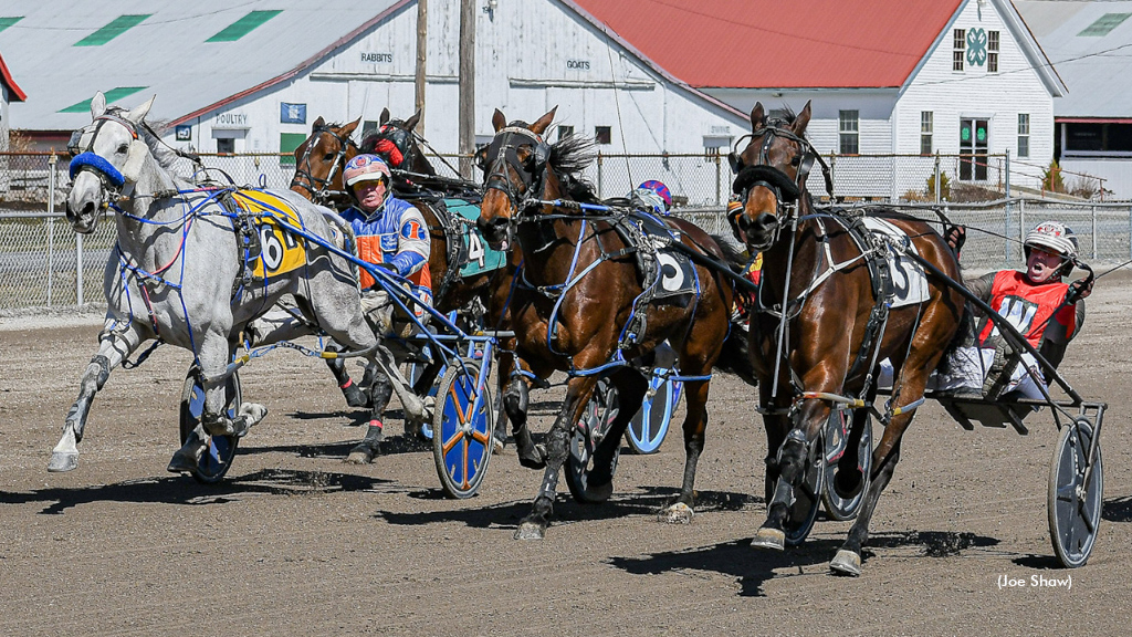 Delightful Virgin (6)