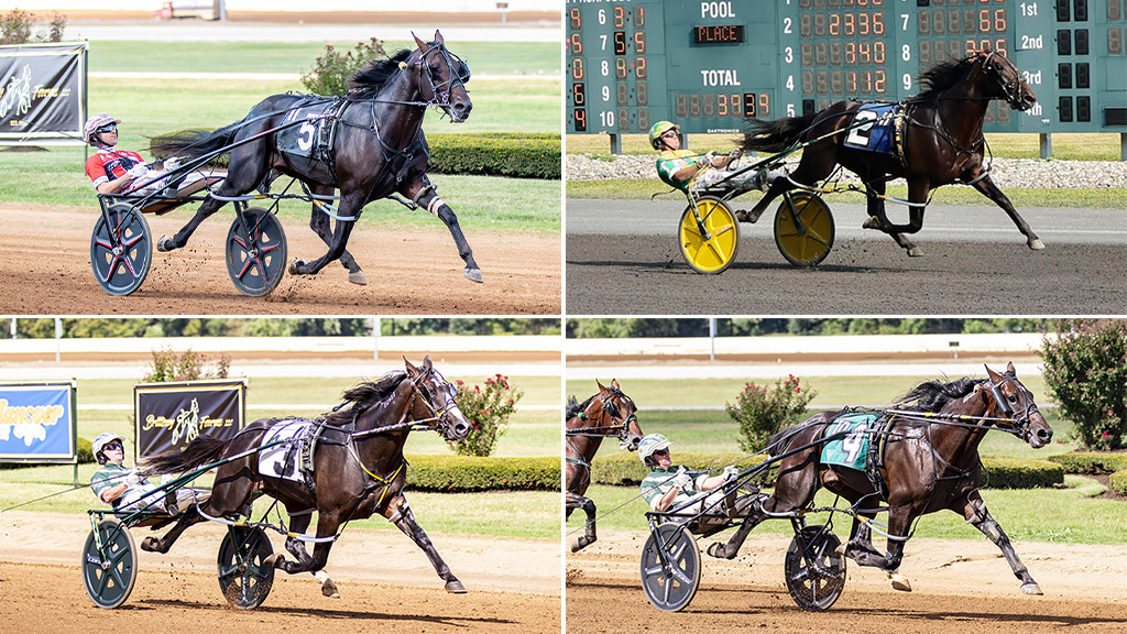 Burke's four horses in the North America Cup spring book
