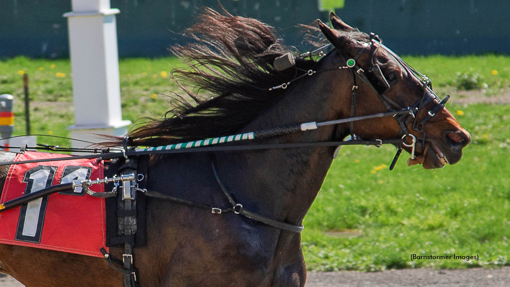 Star Power Hanover winning at Buffalo Raceway