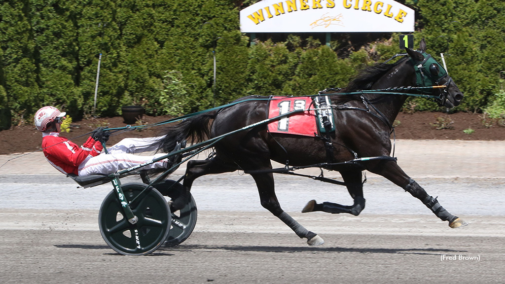 Bettors Donttell