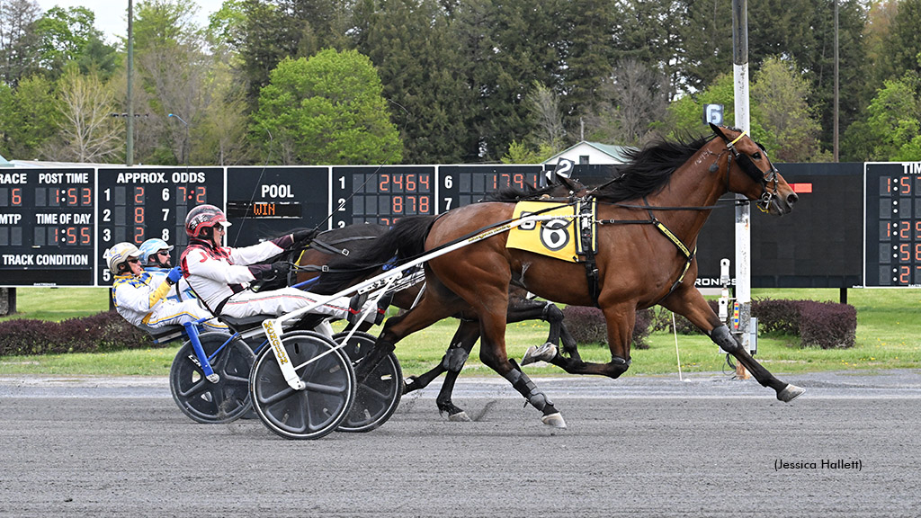 But Why winning at Saratoga Raceway