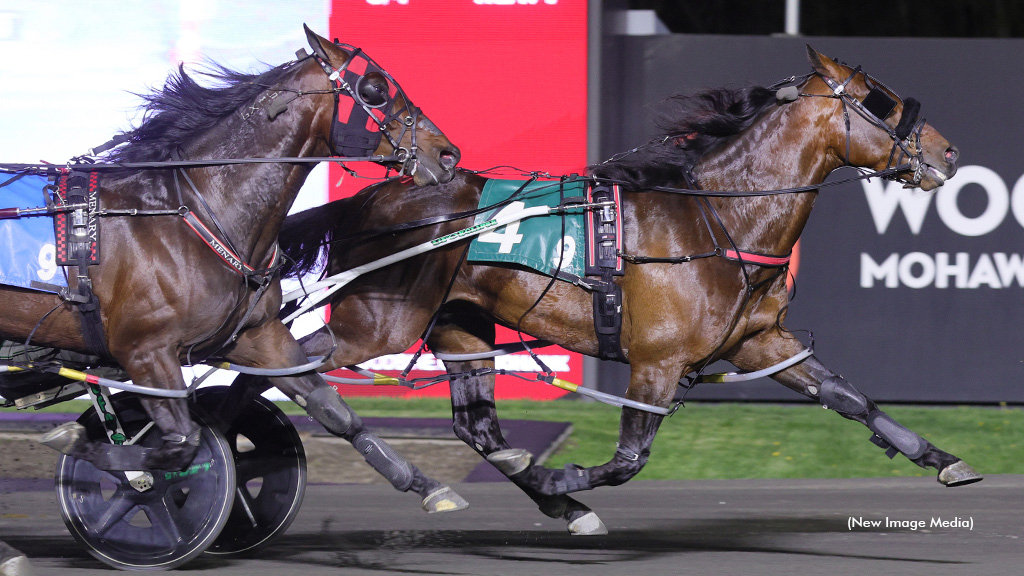 Calicojack Hanover