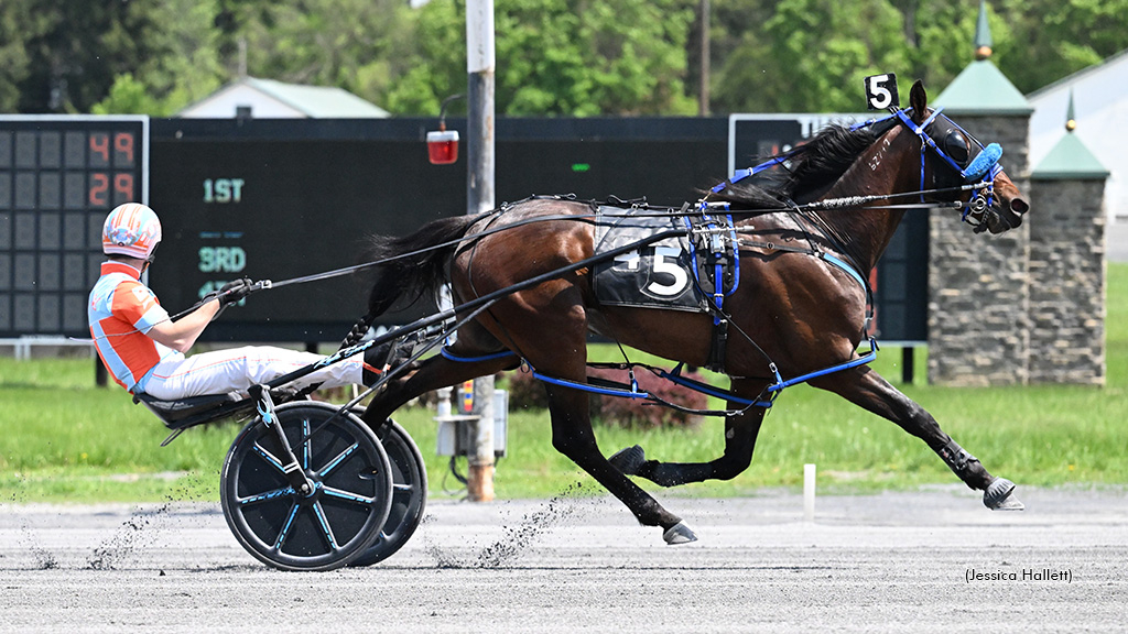 Fennel Hanover