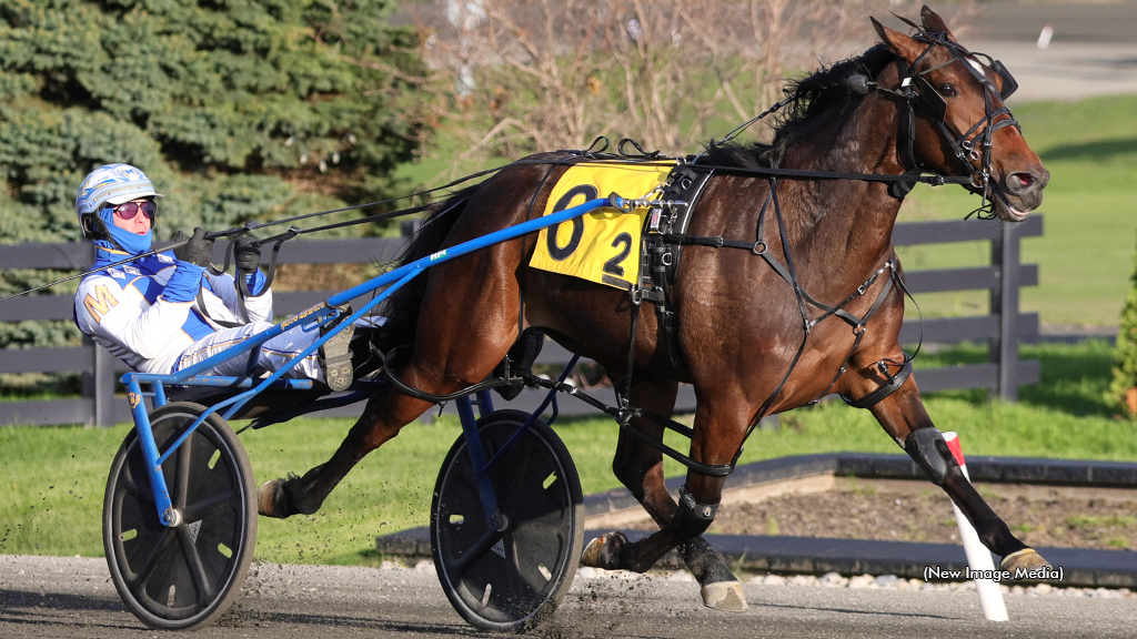 Lets N Joy N winning at Woodbine Mohawk Park