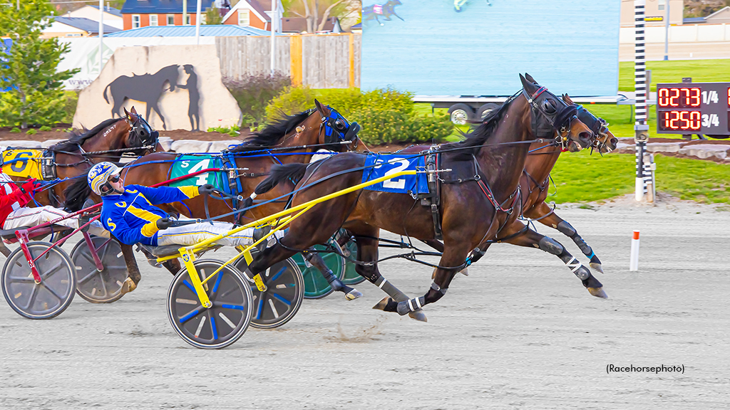 P L Oliver and Cheddar Bay in a dead heat for the win at Western Fair Raceway