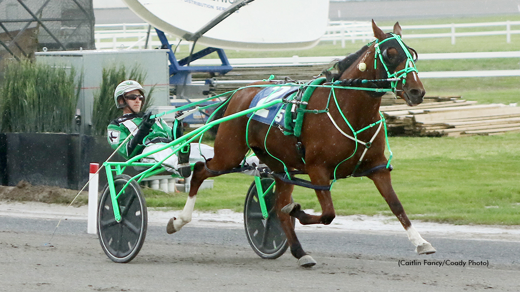 Rockin Mystery winning at Century Downs