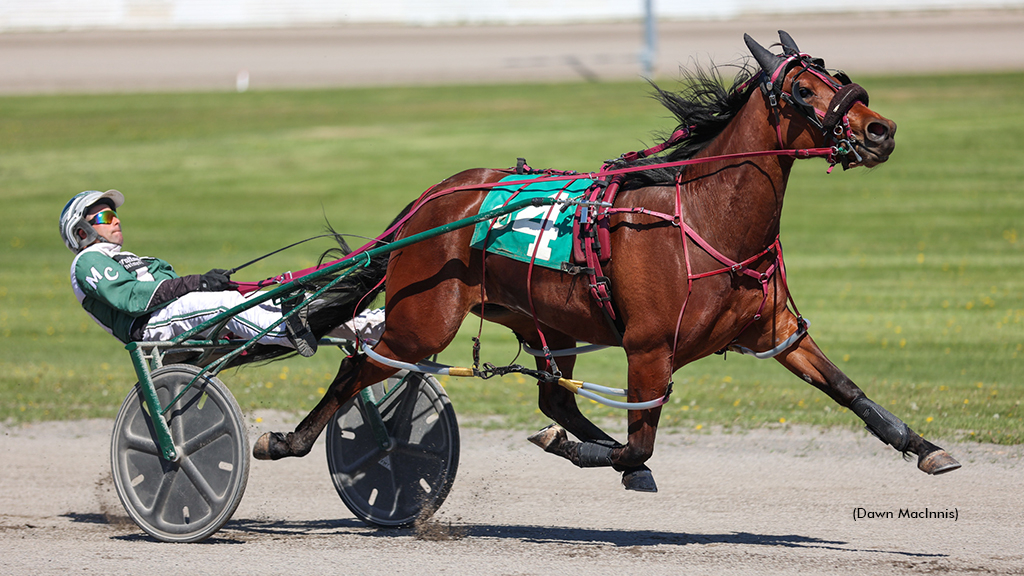 Windemere Skye winning at Summerside Raceway