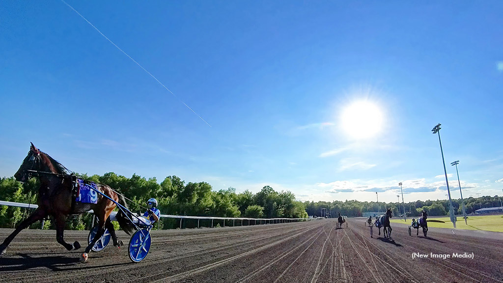 Horses arriving at the starting gate at Woodbine Mohawk Park
