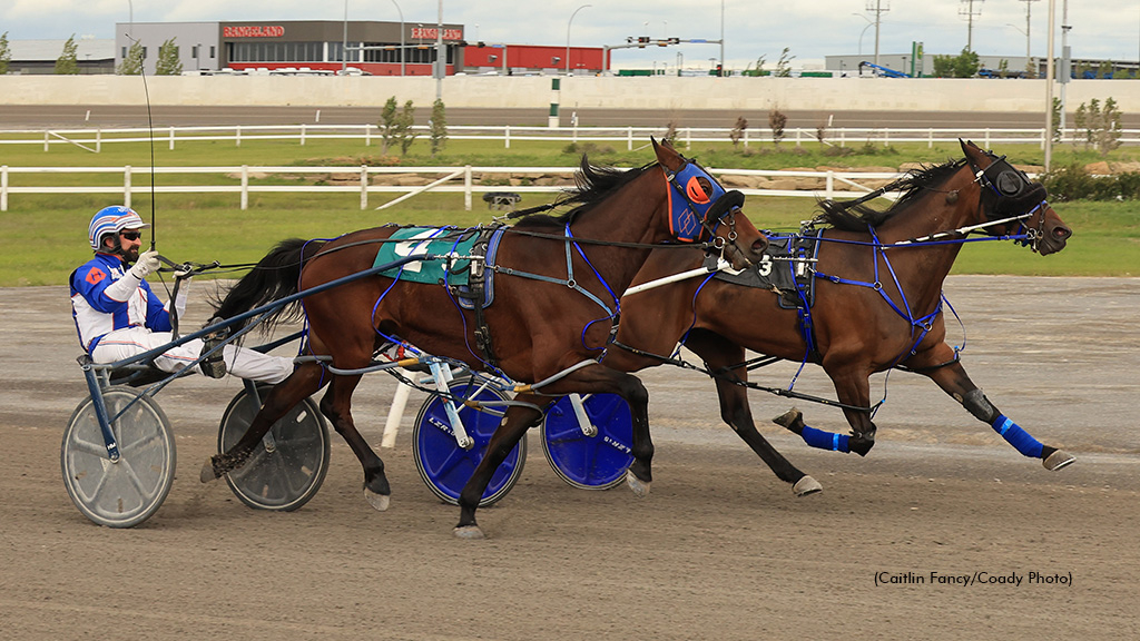 Mercedes winning at Century Downs