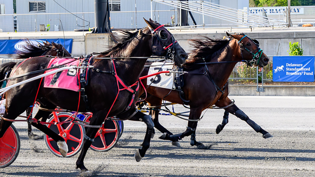 Mr Three O Five winning at Harrington Raceway