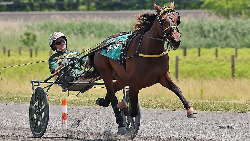 Nevis Peak qualifying at Gaitway Farm