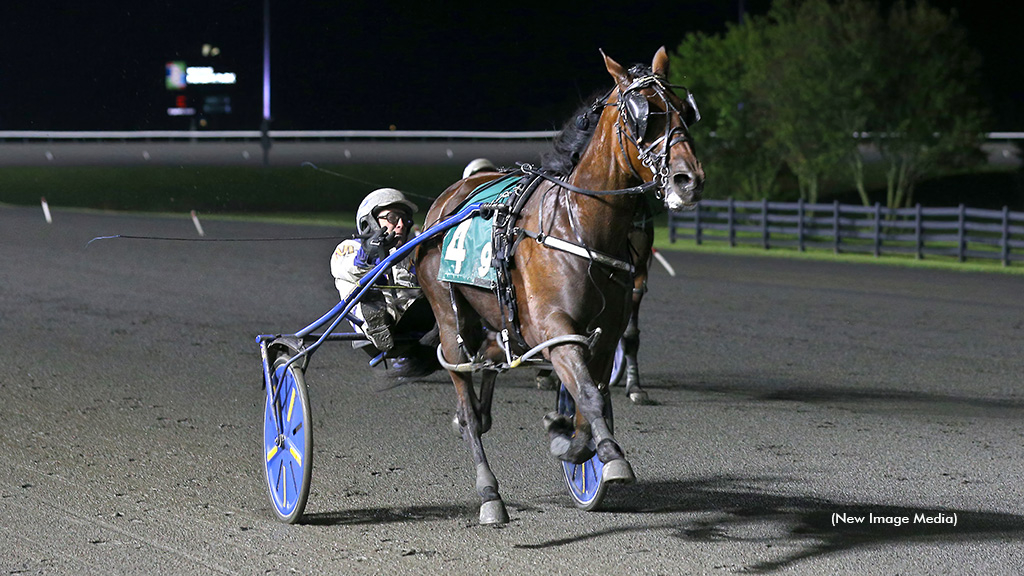 Odds On Mr Mamba winning at Woodbine Mohawk Park