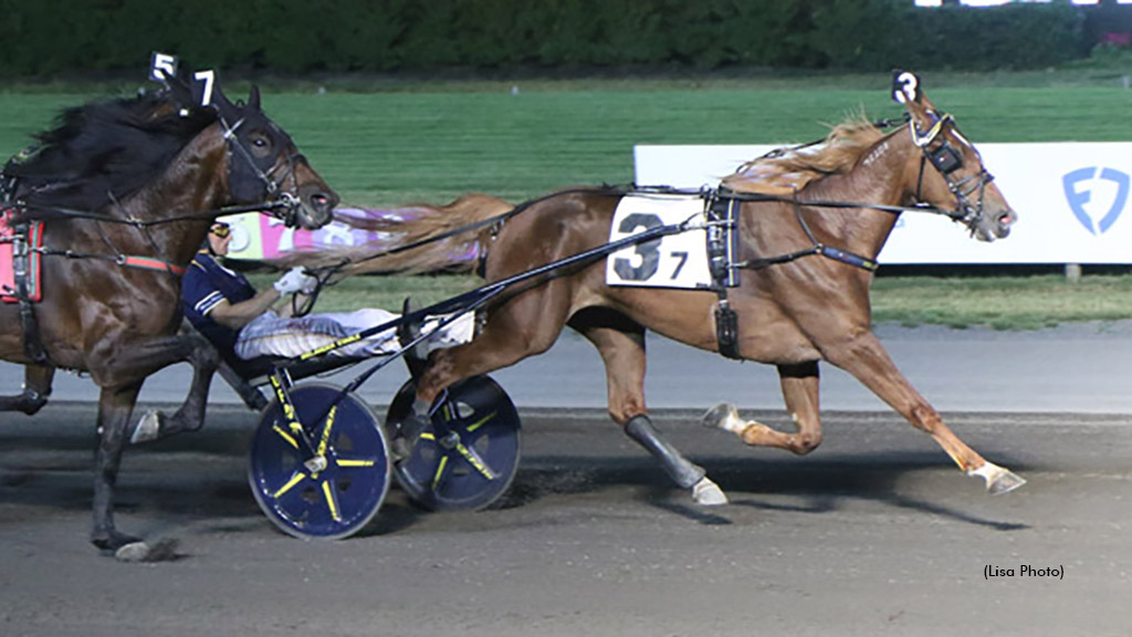 Ygritte winning at The Meadowlands