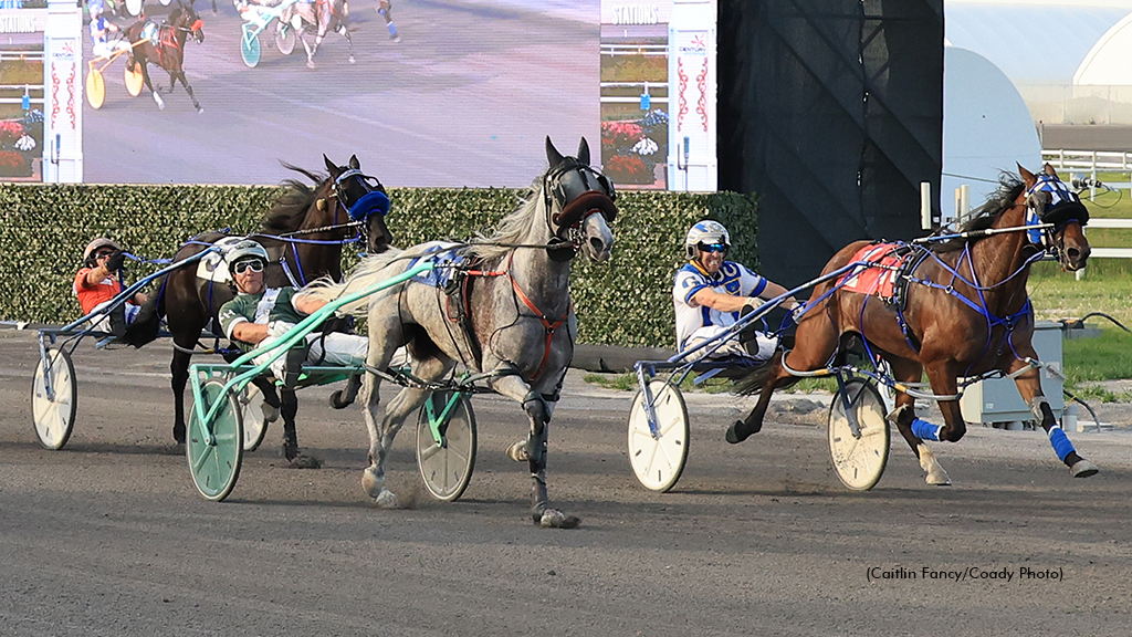 Bares All winning at Century Downs