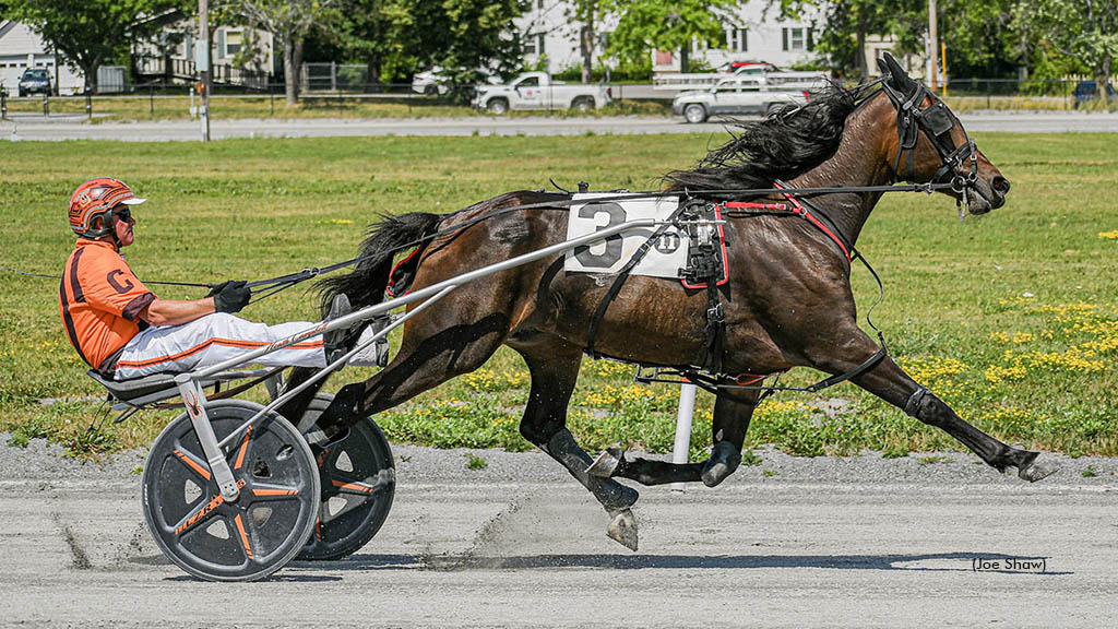 Guss Workout winning at First Tracks Cumberland
