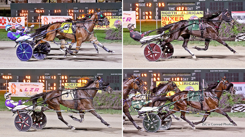 A collage of the winning horses of the Grade 3 events